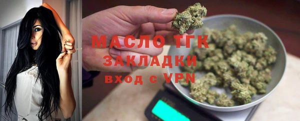 шишки Ельня