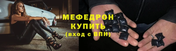 шишки Ельня
