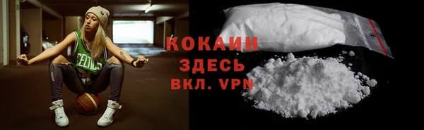 шишки Ельня