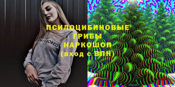 шишки Ельня