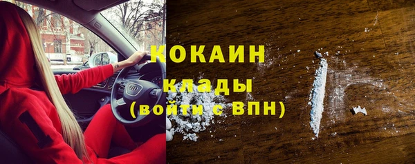 шишки Ельня