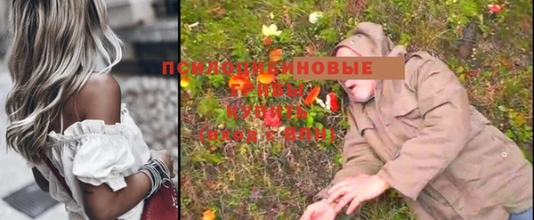 кристаллы Елизово