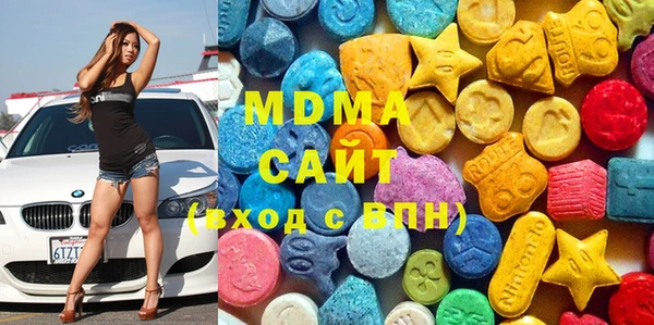 шишки Ельня